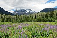 IMG 5257