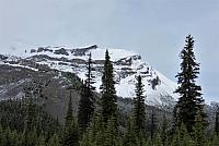 IMG 5397