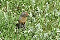 IMG 5432