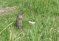 IMG 5433
