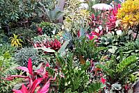 IMG 5499