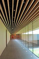 IMG 5584