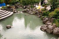 IMG 5588