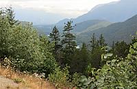IMG 5595