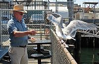 IMG 5637