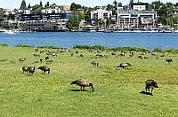 IMG 5647