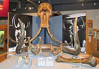 IMG 5676