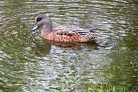 IMG 5708