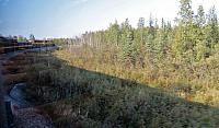 IMG 5738
