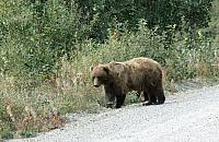 IMG 5861