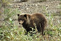 IMG 5881