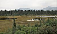 IMG 5929