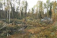 IMG 5970
