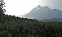 IMG 6008