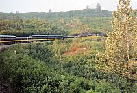 IMG 6014