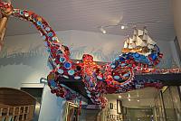 IMG 6047