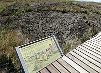 IMG 6481