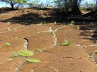 IMG 6586