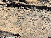 IMG 6594