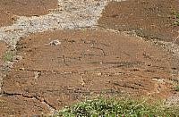 P1130421