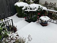 IMG 0427