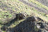 IMG 7435