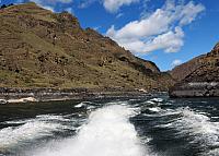 IMG 7442