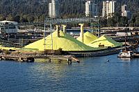 IMG 7855