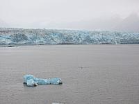 IMG 7973 (2)