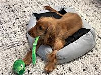 IMG 0636 - frame at 0m0s