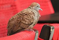 IMG 9329