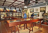 IMG 8673