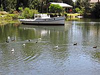 IMG 8684 (2)