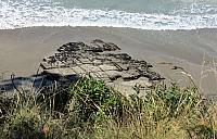 IMG 8926