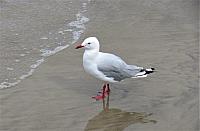 IMG 8950