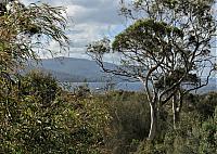 IMG 9022 (2)