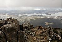 IMG 9084