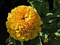 IMG 9138