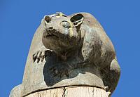 IMG 8863