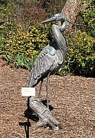 IMG 0742