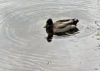 IMG 0804