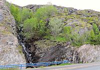 IMG 9481