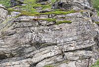 IMG 9482