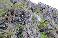 IMG 9484