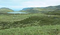 IMG 9562-01