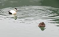 IMG 9702