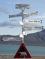 polar-bears-svalbard-norway