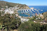 IMG 0132