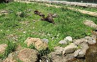 IMG 1076