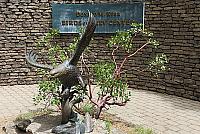IMG 1079